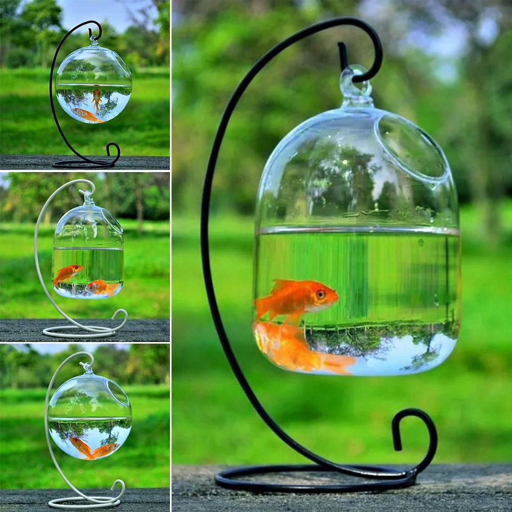 Aquarium Fish Background - 水槽飾り壁掛けラックホルダー付きホームデコレーション水槽魚鉢花瓶飾り吊り下げガラス魚鉢