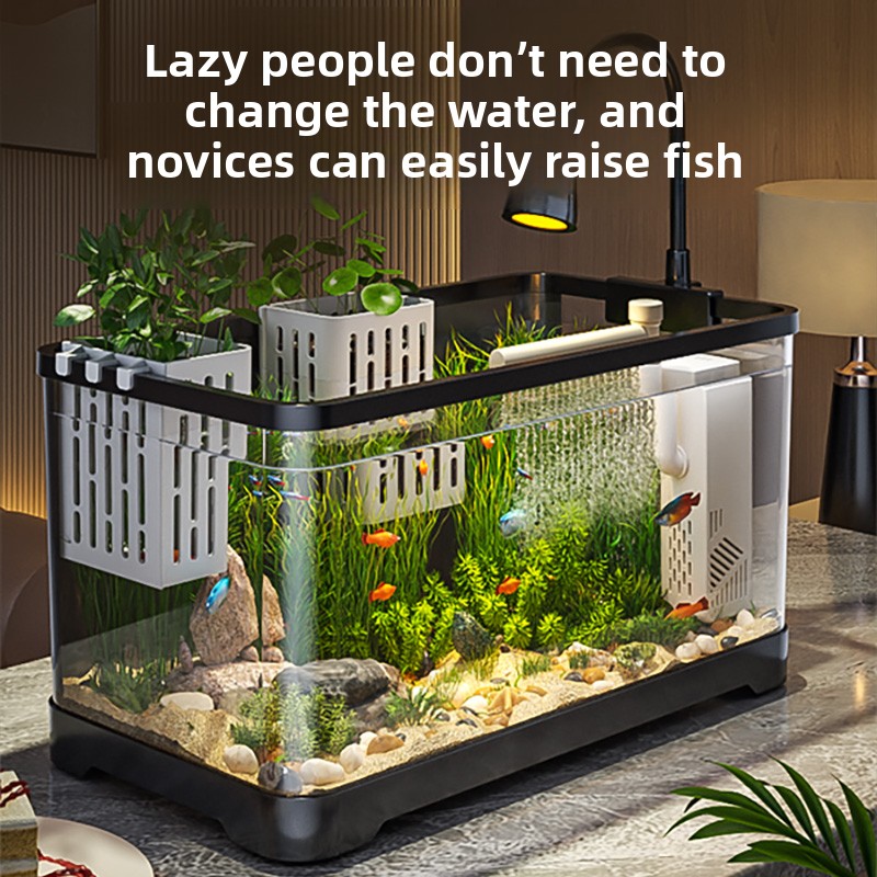 All Fish In Aquarium - 2026年オールインワン水槽フィルター酸素システム小型リビングルーム生態系水槽フルランドスケープ金魚水槽