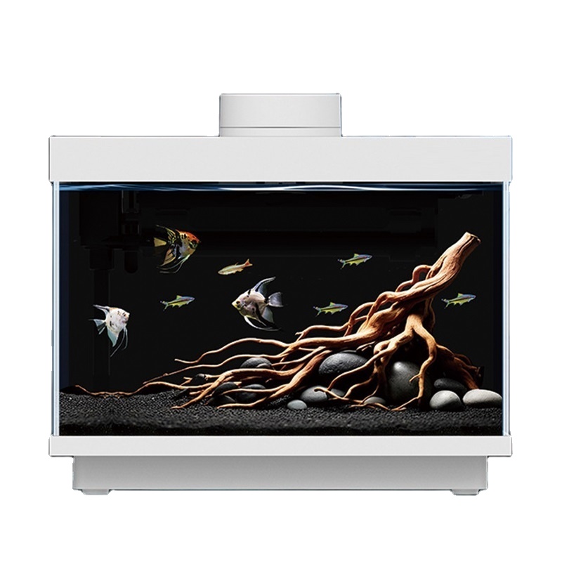All Fish In Aquarium - 多機能オールインワン5Wデスクトップ水槽スマートガラス製魚タンク、Bluetooth搭載の完全生態学的長方形景観水槽