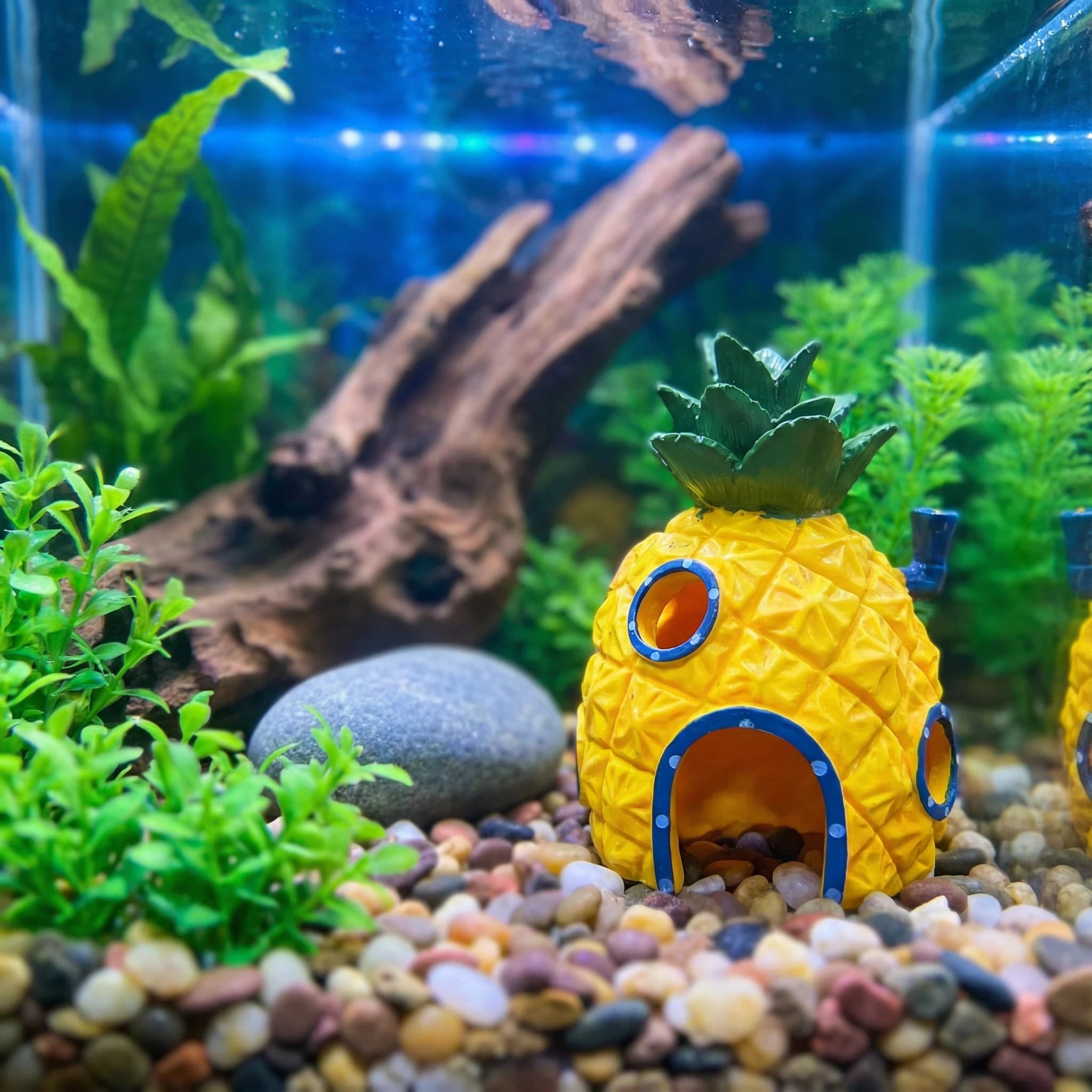 Aquarium Fish Cave - パイナップルハウス水族館装飾、エコフレンドリーな樹脂製ベタエビ用隠れ家、滑らかなエッジの水槽装飾品 4.52インチ