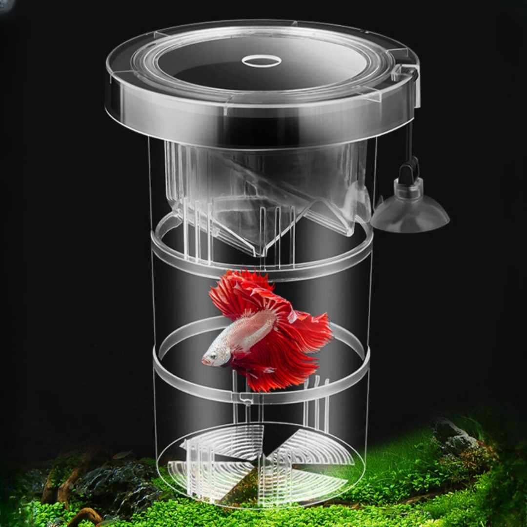 Aquarium Fish Cave - アクリル製浮遊魚繁殖隔離ボックス水槽飼育者フィーダー水槽孵化インキュベーター水槽孵化場アクセサリー