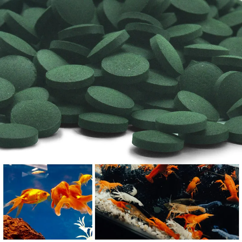 100 個高純度スピルリナ錠スパイラル海藻強化お気に入りのペ - Fish Food Flake のレビューと価格
