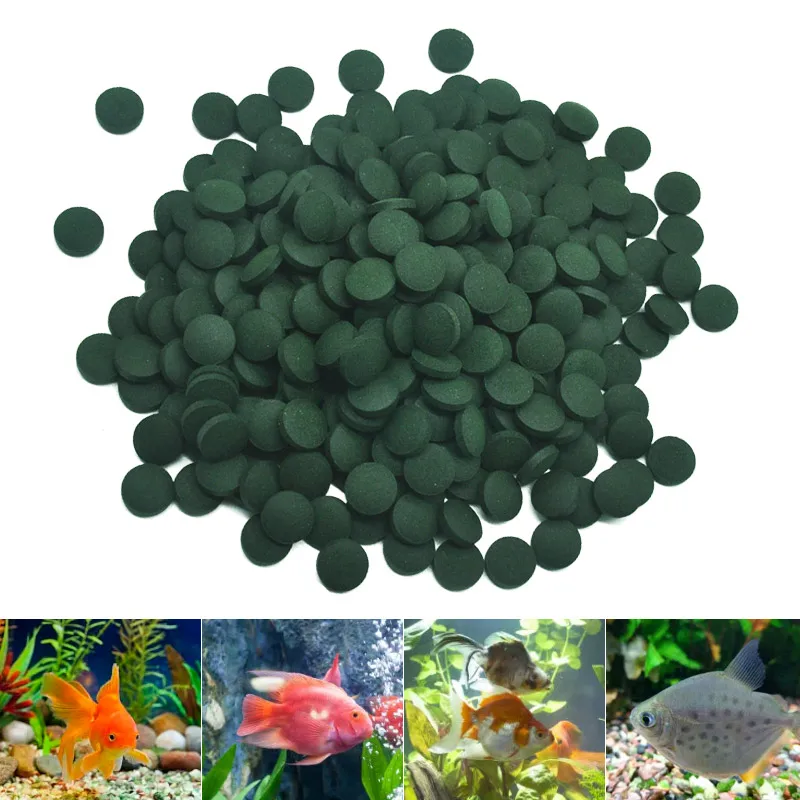 100 個高純度スピルリナ錠スパイラル海藻強化お気に入りのペ - Fish Food Flake のレビューと価格