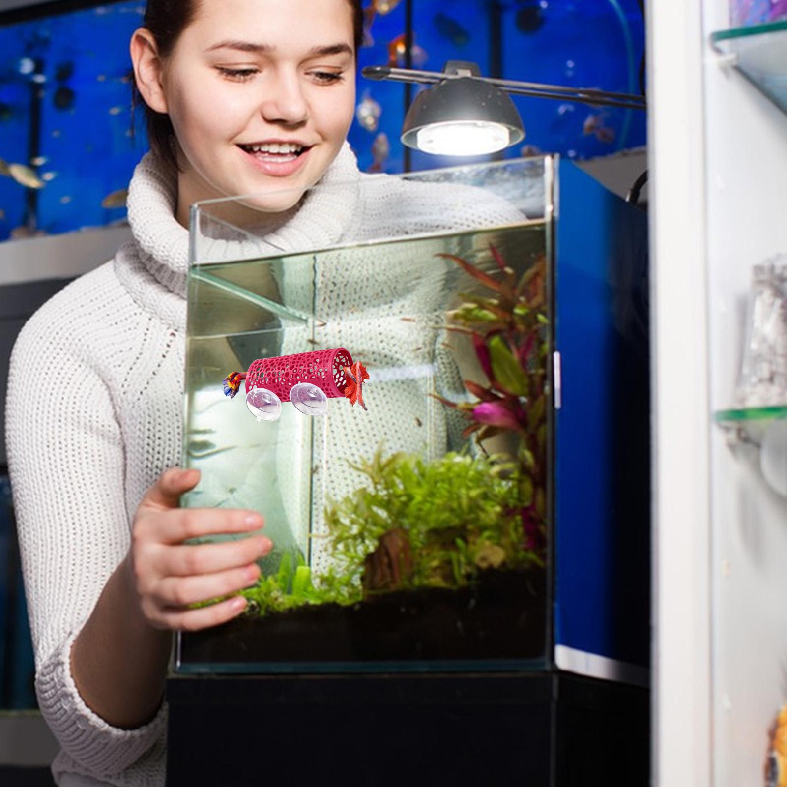 ベタの生息地、休憩用シェルター、装飾用魚トンネルおもちゃ、水 - Aquarium Fish Youtube のレビューと価格