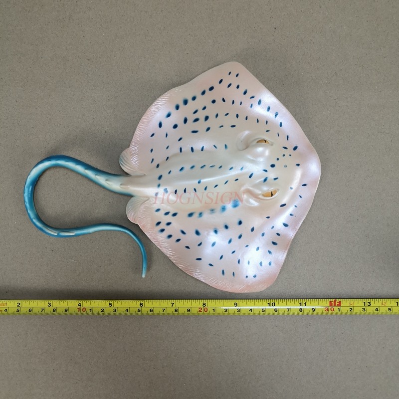 水槽動物模型玩具水中世界水槽子供セット市場子供鯉悪魔魚マンタ - Aquarium Fish Market のレビューと価格