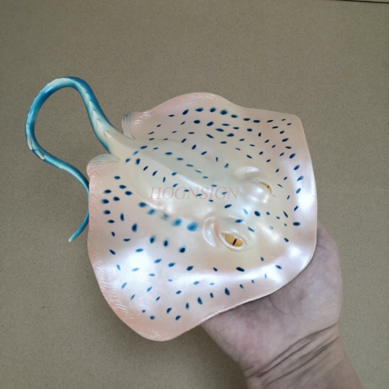 水槽動物模型玩具水中世界水槽子供セット市場子供鯉悪魔魚マンタ - Aquarium Fish Market のレビューと価格