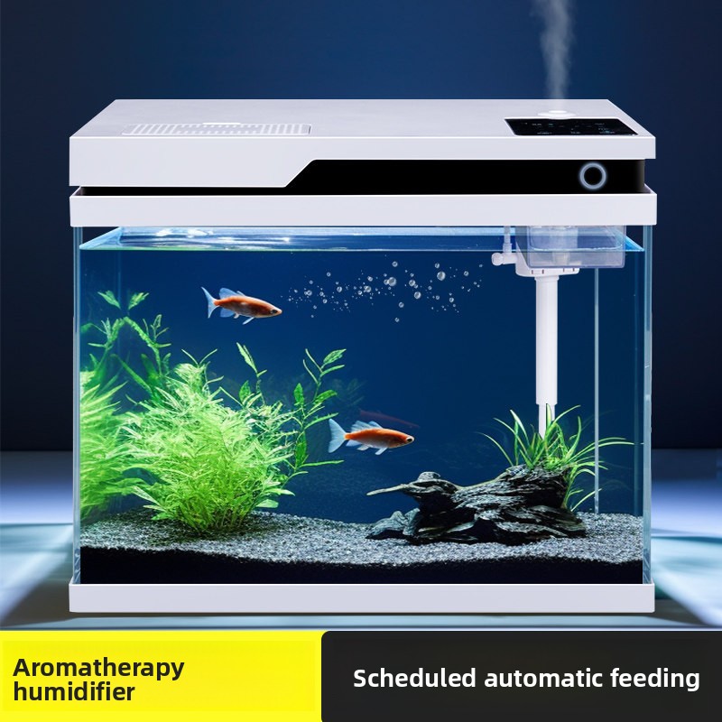 透明ガラス製水槽 スマート自動給餌 リビングルーム用小型家庭 - All Fish In Aquarium のレビューと価格