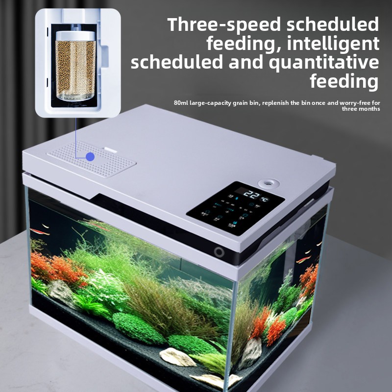 透明ガラス製水槽 スマート自動給餌 リビングルーム用小型家庭 - All Fish In Aquarium のレビューと価格