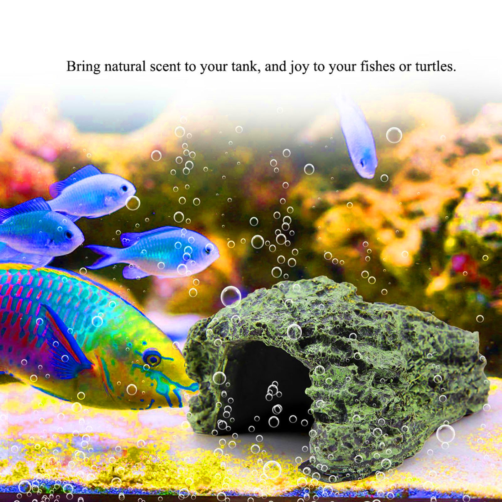 爬虫類の隠れ洞窟、カメの日光浴用シェルター、水槽の魚の隠れ洞 - Aquarium Fish Cave のレビューと価格