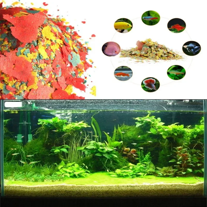 魚の餌の着色料と光沢のある飼料 高栄養の熱帯魚の成長 健康的 - Fish Food Flake のレビューと価格
