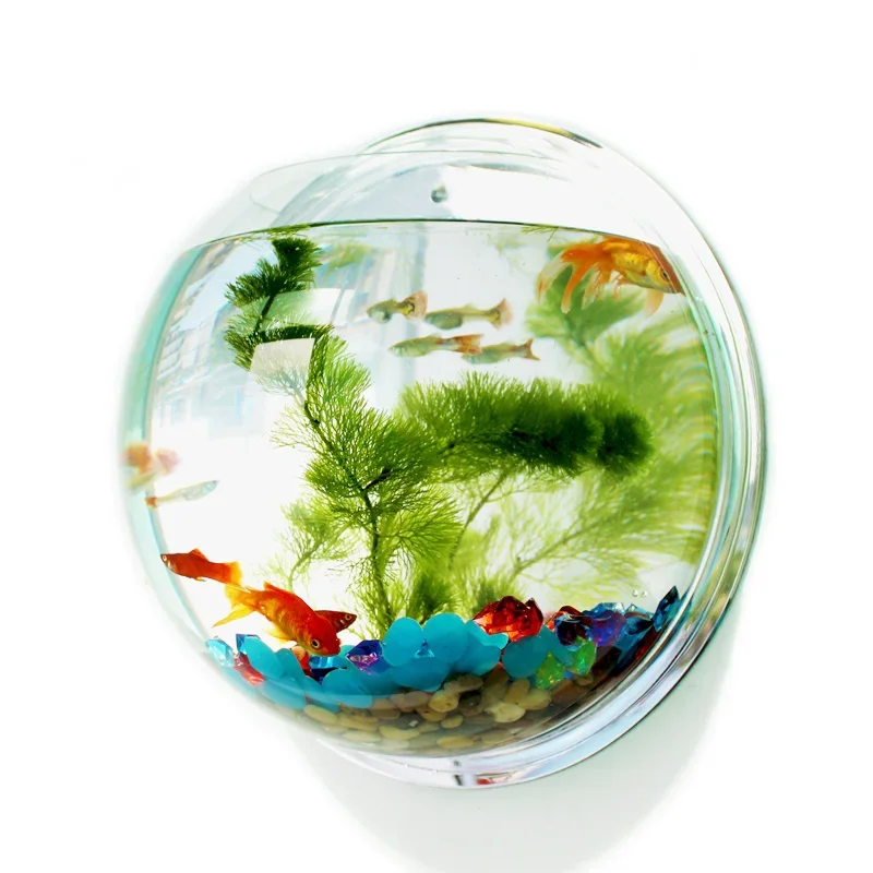 Pinsjar アクリル金魚鉢壁掛け水族館タンク水生ペット用 - Aquarium Fish Background のレビューと価格