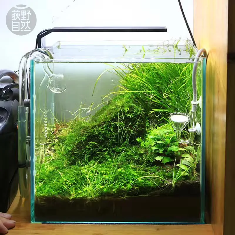 Chihiros C シリーズ ADA スタイル植物成長 L - Aquarium Fish Background のレビューと価格