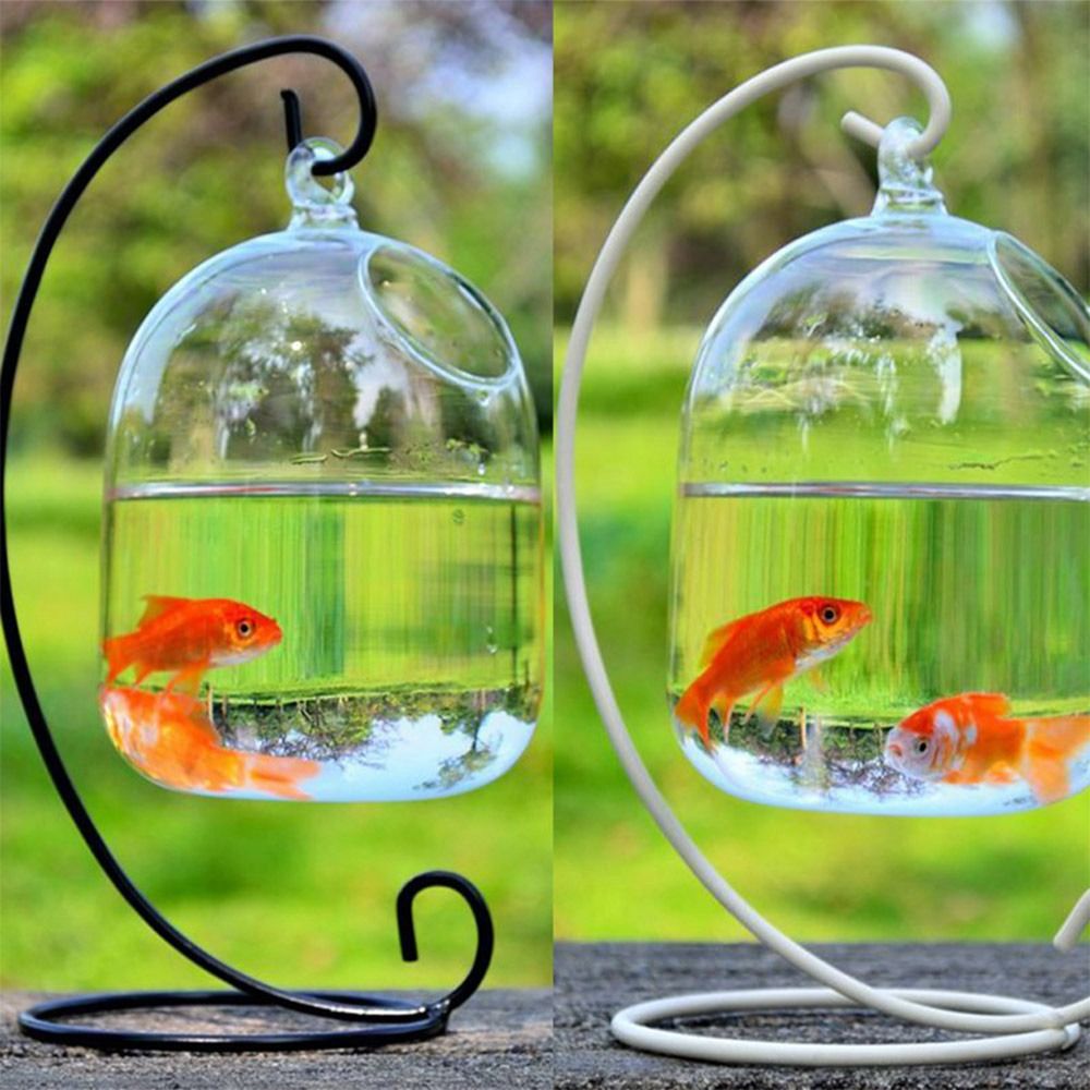 水槽飾り壁掛けラックホルダー付きホームデコレーション水槽魚鉢 - Aquarium Fish Background のレビューと価格