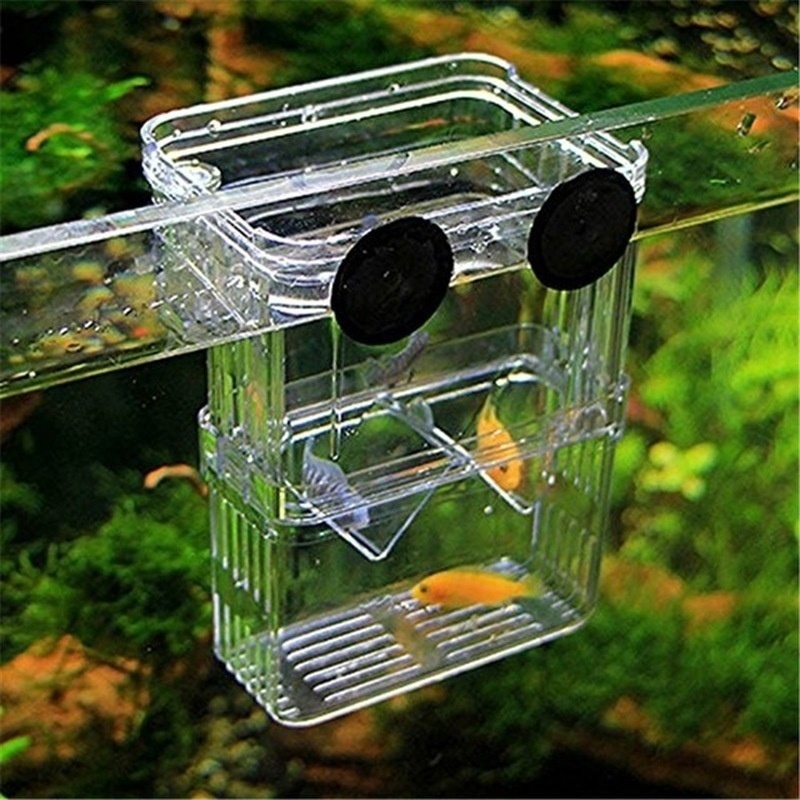 多機能フィッシュアイソレーションボックス,魚の苗の高い透明な - Aquarium Fish Background のレビューと価格