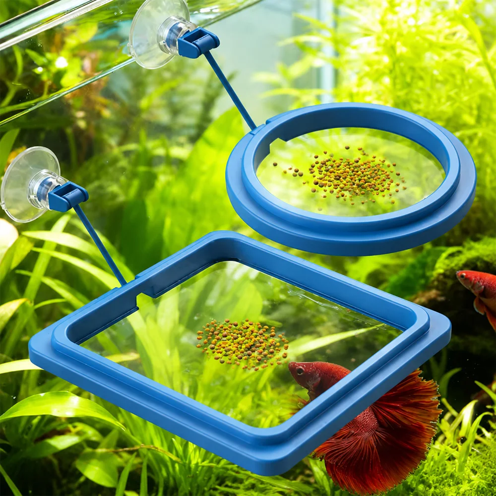ベタフィッシュフードフローティングミニペレット、水槽用給餌リ - Fish Food Flake のレビューと価格