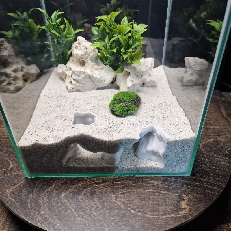 プレミアム3Dプリント製海岸砂水槽洞窟シェルター魚エビ繁殖隠 - Aquarium Fish Cave のレビューと価格