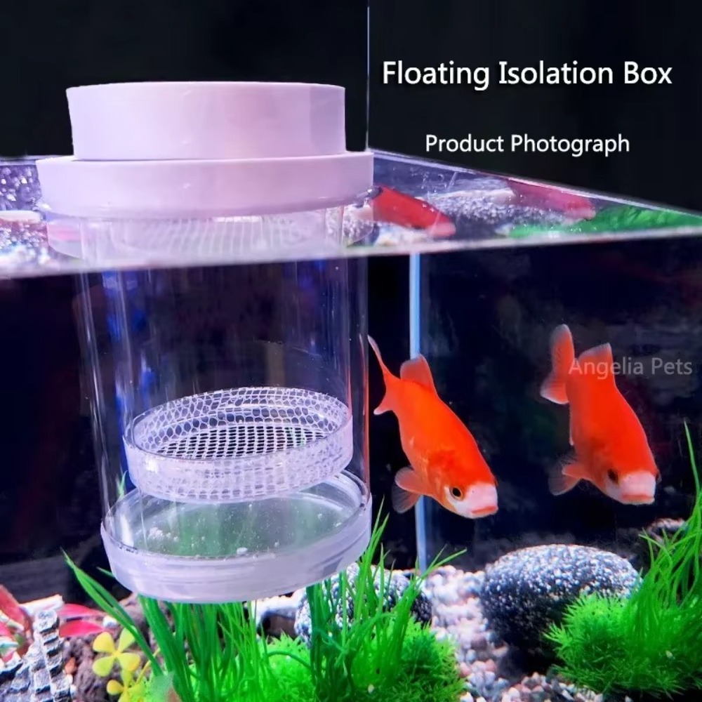 プラスチックフローティング魚飼育隔離ボックス水族館ブリーダー - Aquarium Fish Cave のレビューと価格