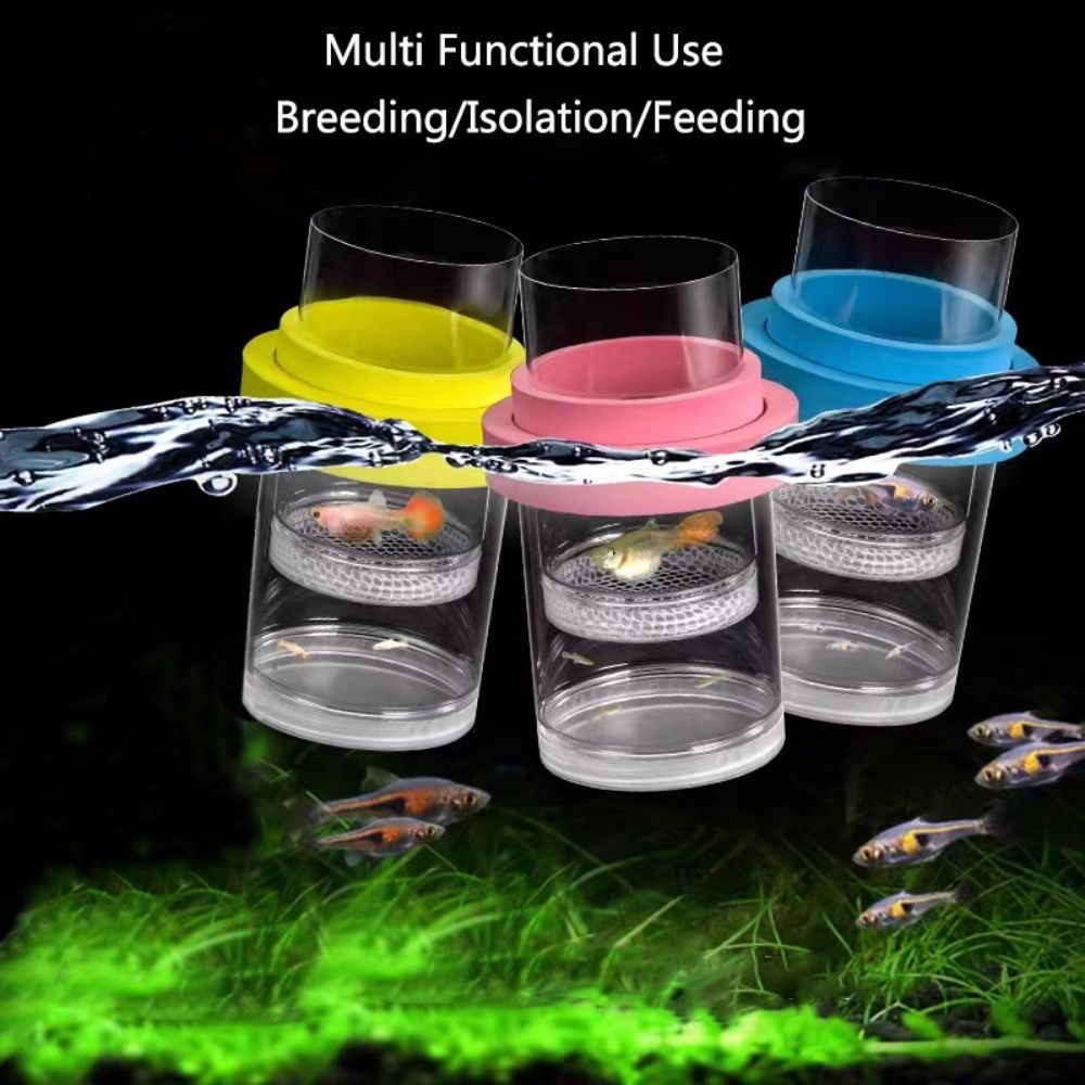 プラスチックフローティング魚飼育隔離ボックス水族館ブリーダー - Aquarium Fish Cave のレビューと価格