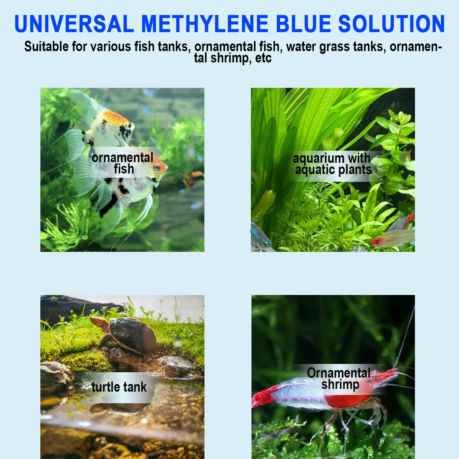 水槽用メチレンブルー魚用薬、真菌、フィンロット、イチキュア、 - Aquarium Fish Parasites のレビューと価格