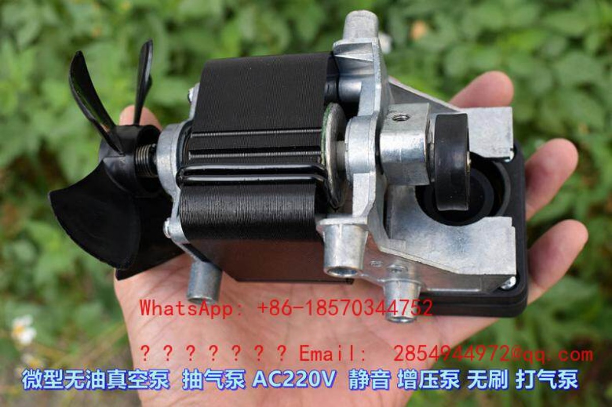 AC220V 100W オイルフリー静音真空ポンプ ミニチュ - Air Pump Silent のレビューと価格