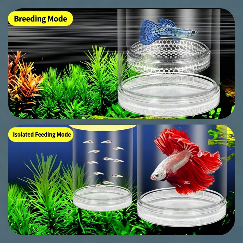 透明なフローティングアクアリウム孵化ボックス、グッピー、ゼブ - Aquarium Fish Cave のレビューと価格