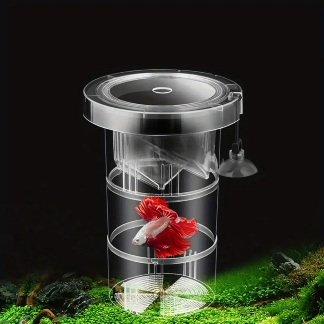 アクリル製浮遊魚繁殖隔離ボックス水槽飼育者フィーダー水槽孵化 - Aquarium Fish Cave のレビューと価格
