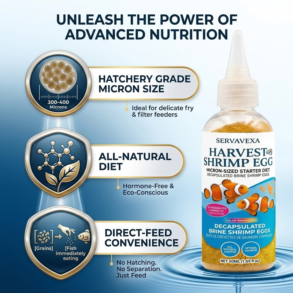 ベタ・グッピー稚魚用高タンパク質魚飼料 プレミアム水槽用飼料 - Fish Food Flake のレビューと価格