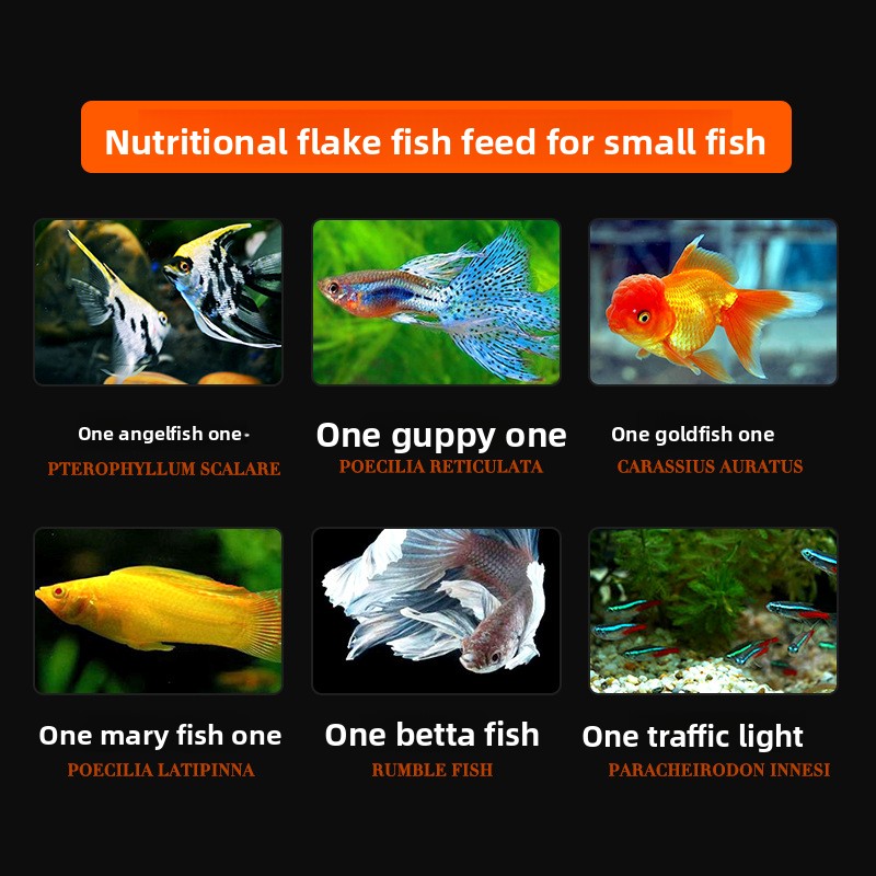 DaJiaWa スピルリナフレーク魚用飼料 小型熱帯魚用 - - Tetra Food Goldfish Flakes のレビューと価格